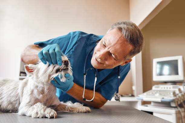 Best Dentist for Tooth Abscess  in Fort Recovery, OH